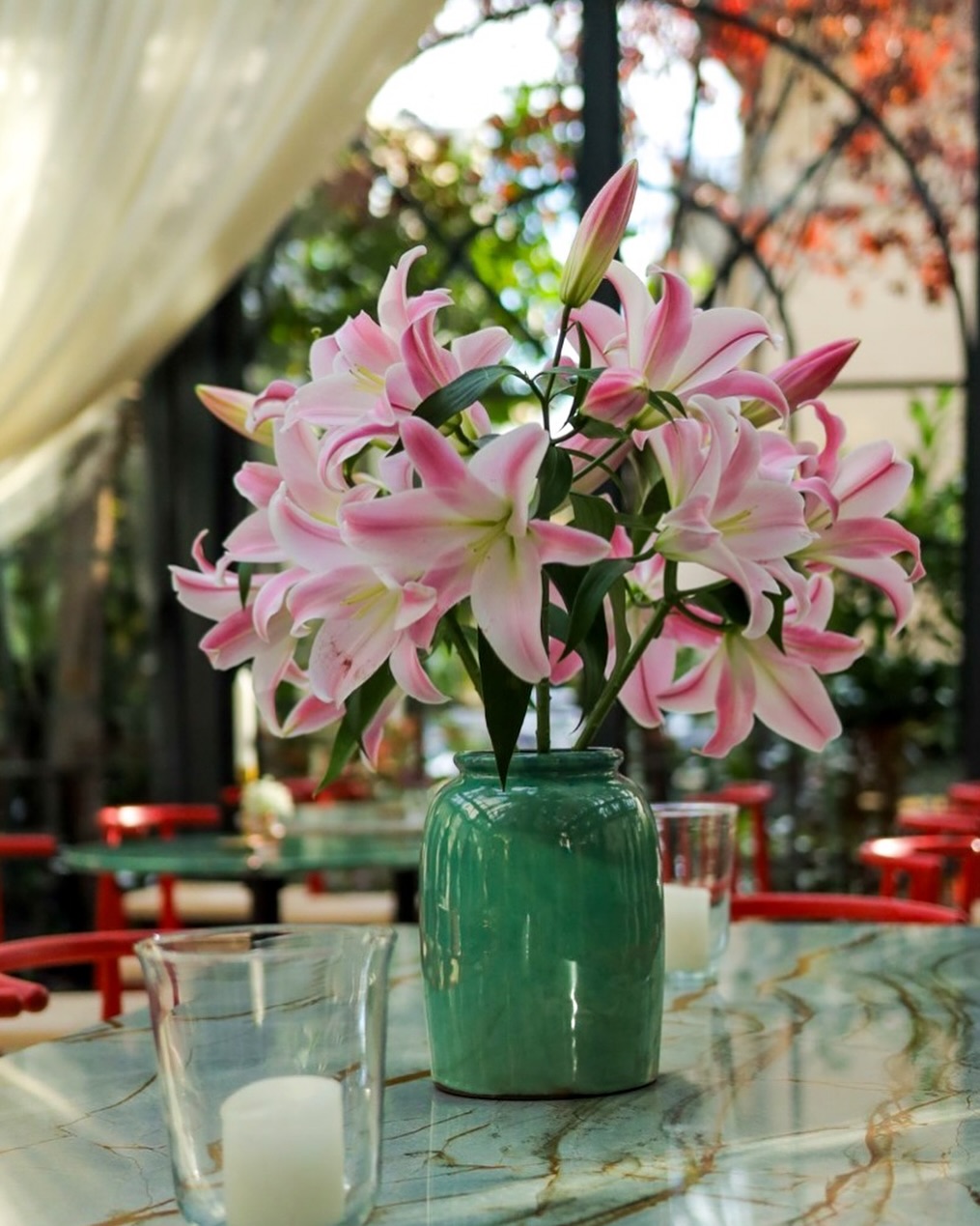 Jardin Prishtina