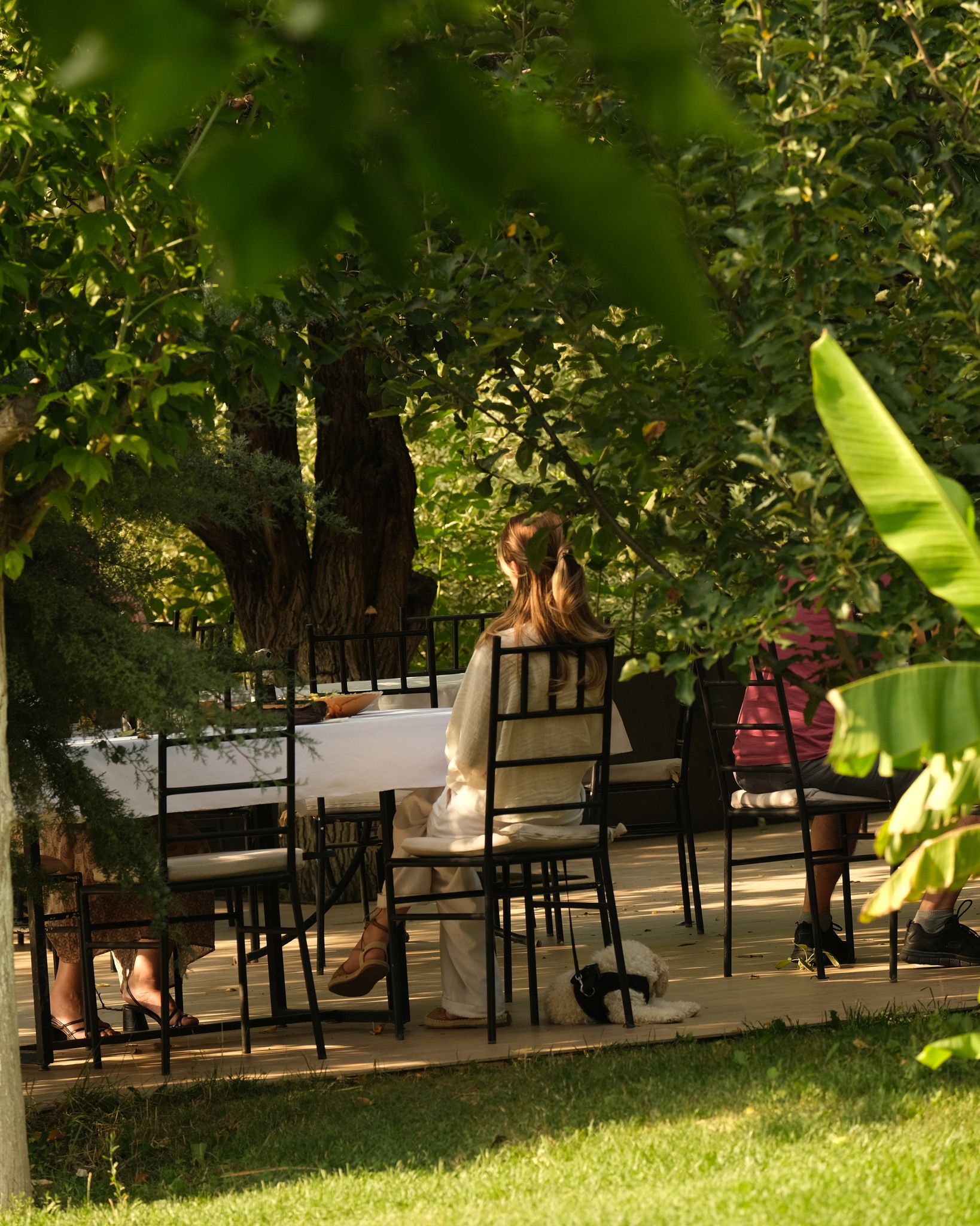 Restaurant GAIA Pristina Kosovo, Mediterranean, Family Friendly