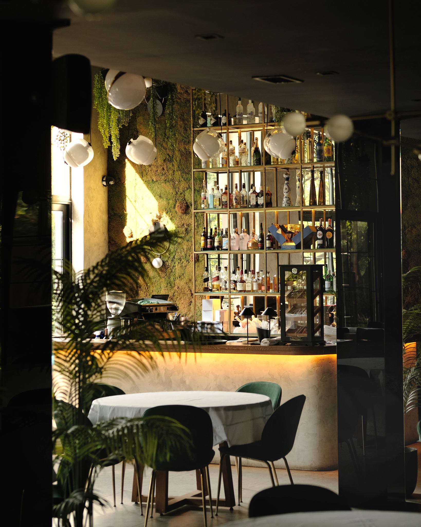 Restaurant GAIA Pristina Kosovo, Mediterranean, Family Friendly